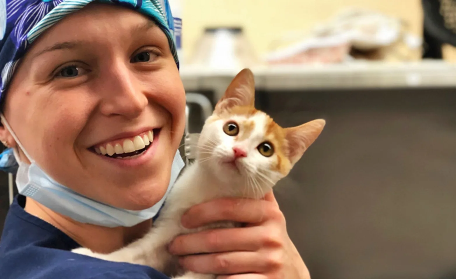 A smiling veterinary professional holding a small kitten